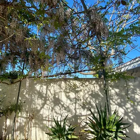 Holidays House Adriatic Italy