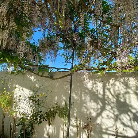Holidays House Adriatic Italy Torre Chianca