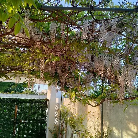Holidays House Adriatic Italy Apartment Torre Chianca