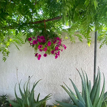 Holidays House Adriatic Italy Apartment Torre Chianca